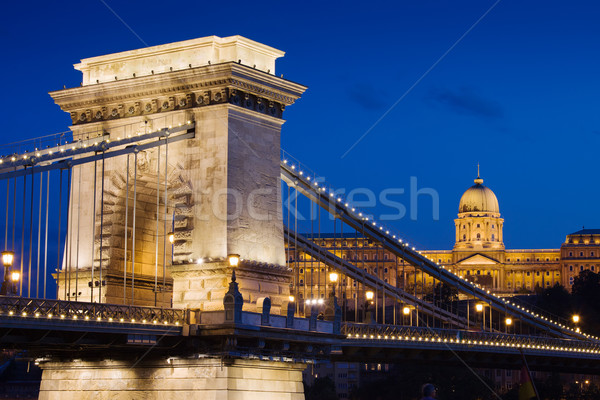 Catena ponte castello notte Budapest ungherese Foto d'archivio © rognar