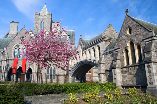 Christ Kirche Kathedrale Dublin Irland Gebäude Stock foto © rognar