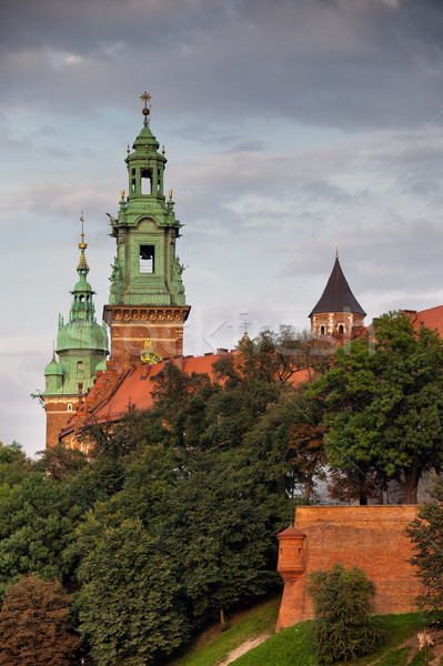 Wawel Royal Castle in Krakow Stock photo © rognar