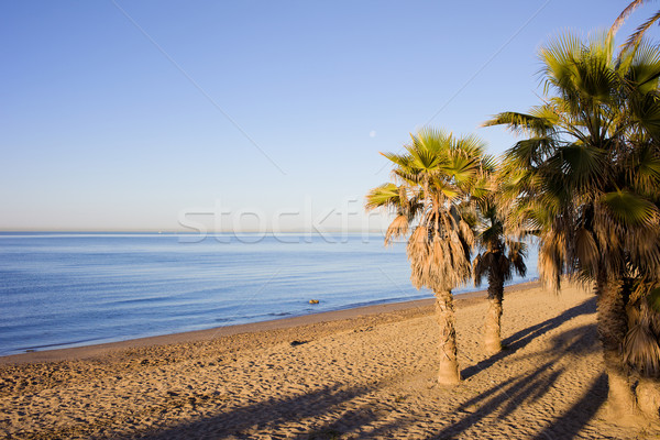 Praia Espanha de manhã cedo praia mediterrânico mar Foto stock © rognar