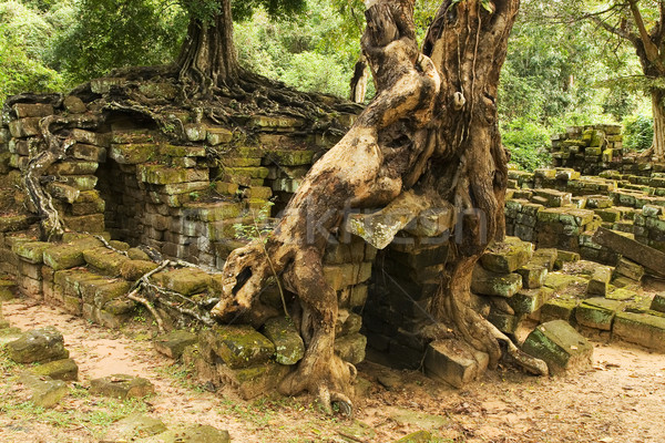 Scenic Cambodian Ruins Stock photo © rognar