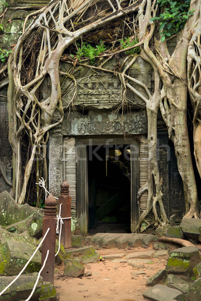Stockfoto: Tempel · Cambodja · beroemd · stijl · poort · wortels