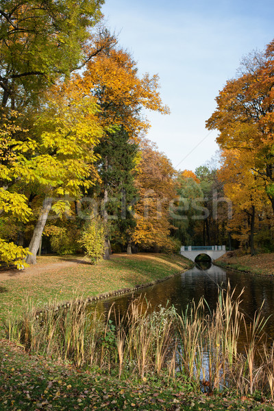 [[stock_photo]]: Parc · Varsovie · canal · automne · arbres · royal