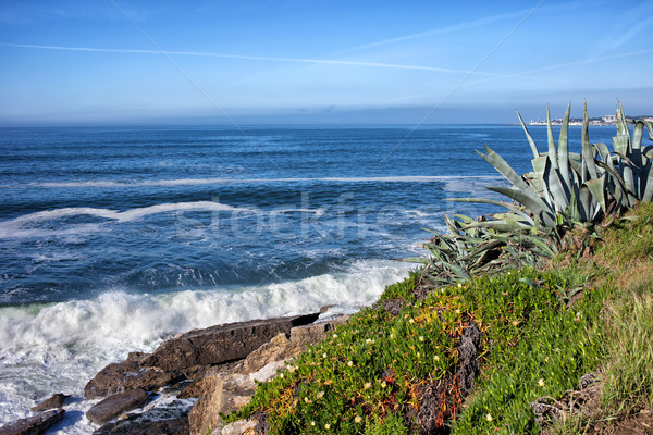 Atlantic Ocean Coastline in Estoril Stock photo © rognar