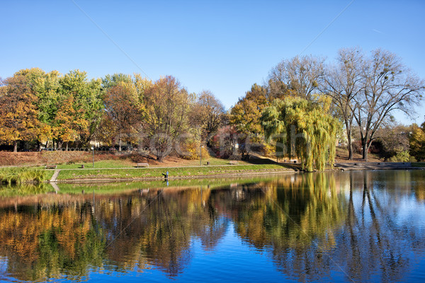Parco lago Varsavia riflessione acqua autunno Foto d'archivio © rognar