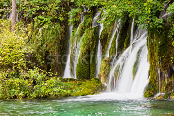 Cascade scénique forêt herbe nature environnement [[stock_photo]] © rognar