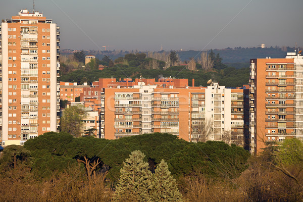 Block of Flats in Madrid Stock photo © rognar