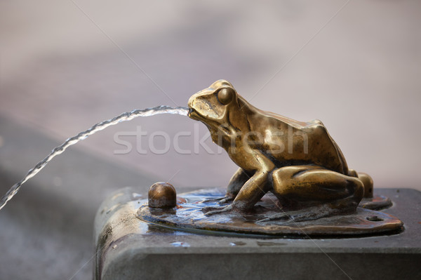 Kurbağa heykel su çeşme detay Stok fotoğraf © rognar