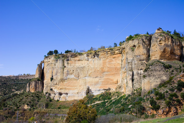 Andalusia Landscape in Spain Stock photo © rognar