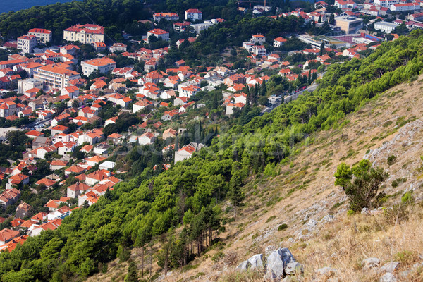 Dubrovnik miasta Chorwacja domu trawy lasu Zdjęcia stock © rognar