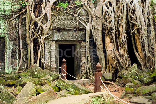 Stock photo: Ta Prohm Temple in Cambodia