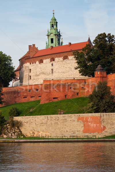 Reale castello cracovia Polonia view Foto d'archivio © rognar