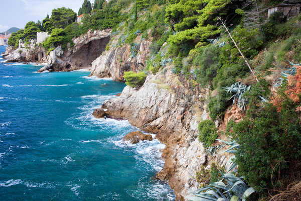 海 海岸線 風光明媚な ドゥブロブニク クロアチア 青 ストックフォト © rognar