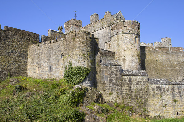 Castello Irlanda meridionale viaggio pietra Europa Foto d'archivio © rognar