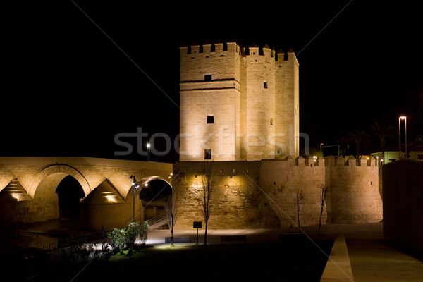 Calahorra Tower in Cordoba at Night Stock photo © rognar