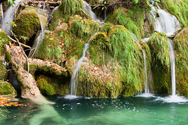 Stock foto: Wasser · Kaskade · schönen · malerische · fließend · grasbewachsenen