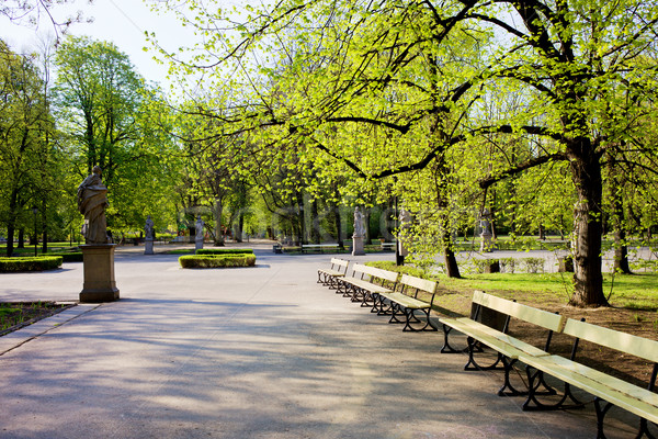 Jardin Varsovie parc printemps public ville [[stock_photo]] © rognar