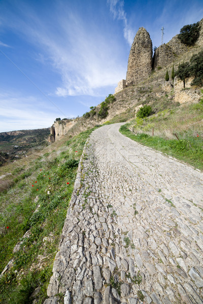 Rural Cobbled Road in Andalusia Countryside in Spain Stock photo © rognar