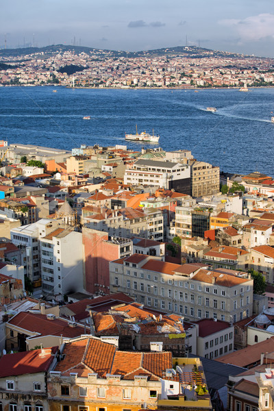 City of Istanbul from Above Stock photo © rognar