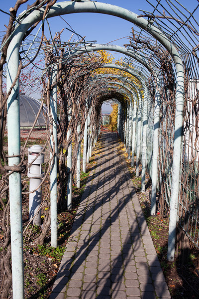 Path in a Garden Stock photo © rognar