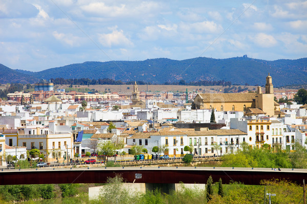 Cordoba Cityscape in Spain Stock photo © rognar