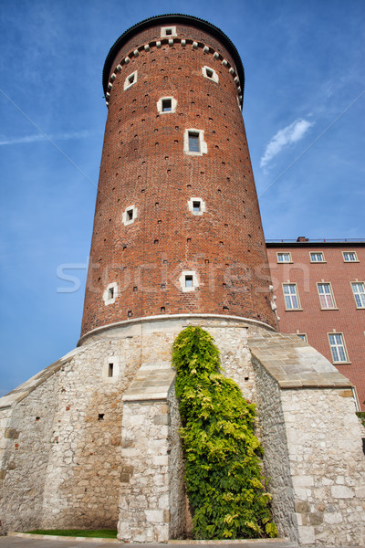 Torre castello cracovia reale Polonia in giro Foto d'archivio © rognar