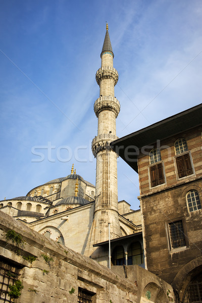 Mavi cami mimari İstanbul ünlü Stok fotoğraf © rognar