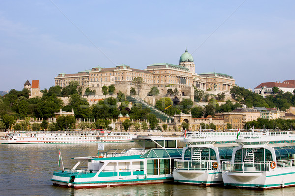 Buda Castle and Boats on Danube River Stock photo © rognar