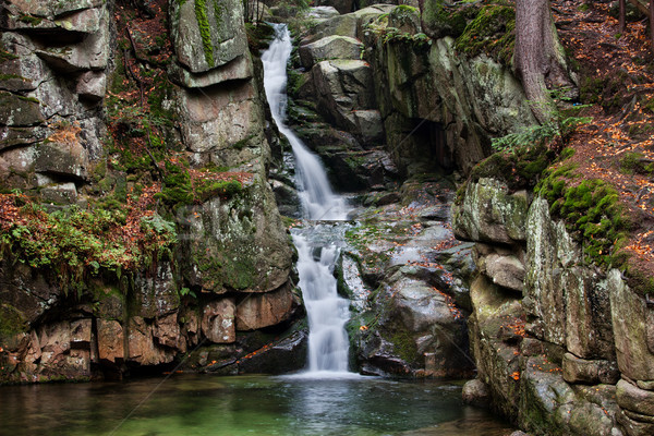 Wasserfall Berge Polen Natur Reise Park Stock foto © rognar