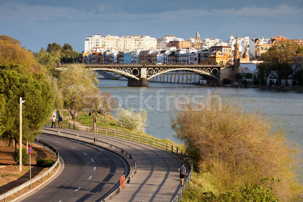 City of Seville in Spain Stock photo © rognar