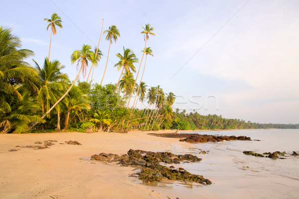 Tropical Island in Thailand Stock photo © rognar