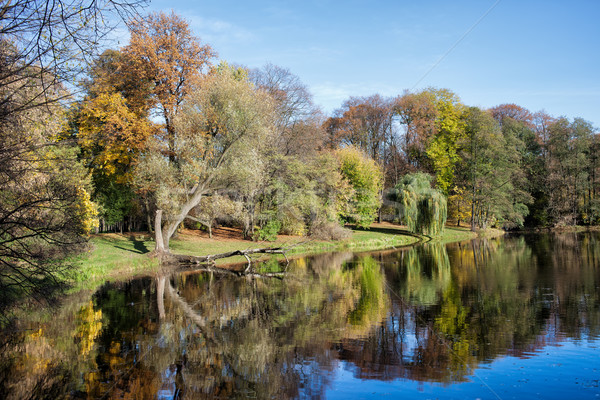 Parque Varsóvia lago outono árvores Polônia Foto stock © rognar