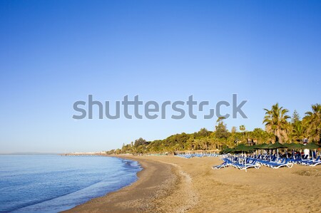 Marbella Beach on Costa del Sol in Spain Stock photo © rognar