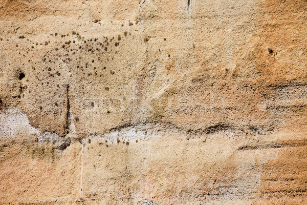 Wapień rock tekstury andaluzja Hiszpania Zdjęcia stock © rognar