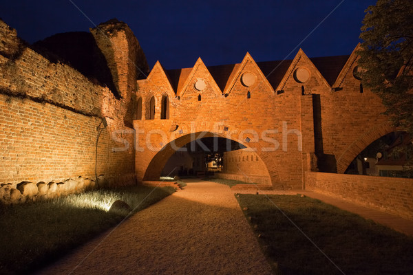 Burg Nacht Gebäude Wand Weg Struktur Stock foto © rognar