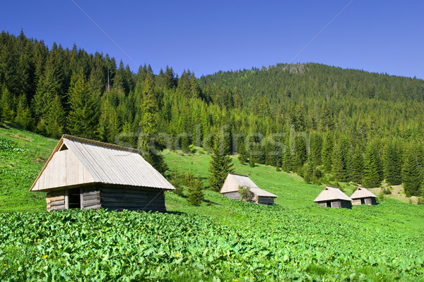 Tatra Mountains Stock photo © rognar