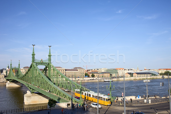 Budapest Cityscape and Liberty Bridge Stock photo © rognar