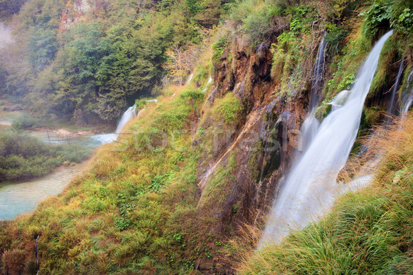 Manzara güzel park Hırvatistan ağaç manzara Stok fotoğraf © rognar