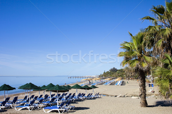 Beach in Marbella Stock photo © rognar