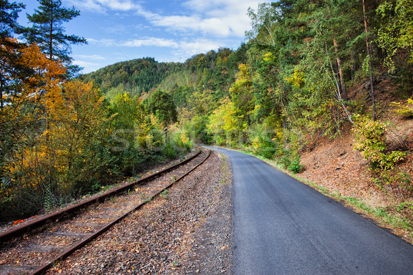 Rural Road and Railway Track Along Autumn Forest Stock photo © rognar