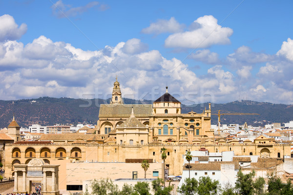 Cathedral Mosque of Cordoba Stock photo © rognar