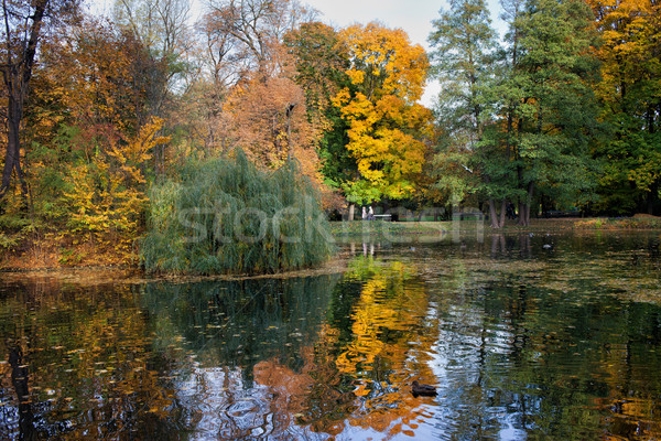 Сток-фото: озеро · осень · листва · парка · королевский · город