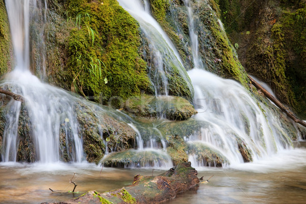 Wasser Kaskade wenig Wald Stream Wasserfall Stock foto © rognar