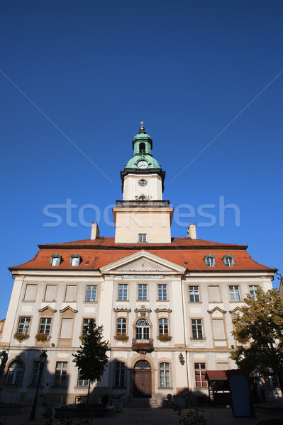 Town Hall in Jelenia Gora Stock photo © rognar