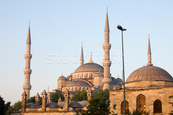 Sultan Ahmet Mosque in Istanbul Stock photo © rognar