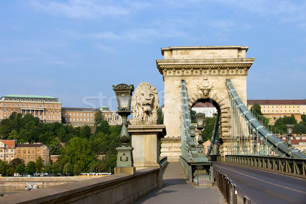Chain Bridge in Budapest Stock photo © rognar