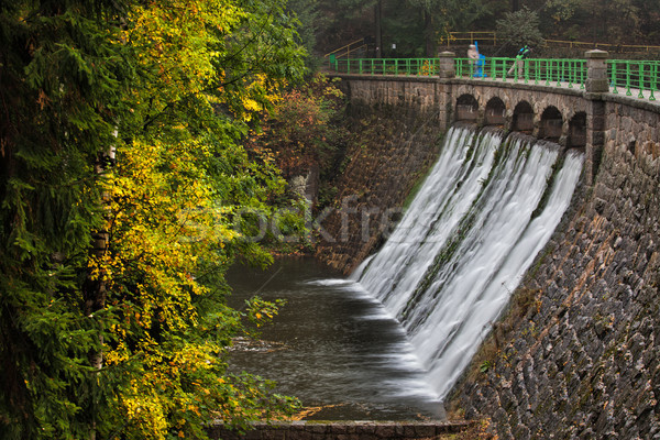 Dam on Lomnica River in Karpacz Stock photo © rognar