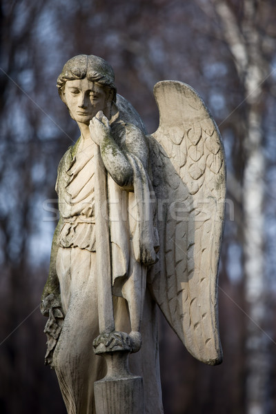 Foto d'archivio: Angelo · statua · triste · faccia · Varsavia · cimitero