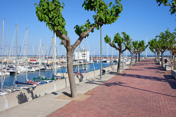 Stockfoto: Haven · promenade · Barcelona · jachthaven · boom · stad