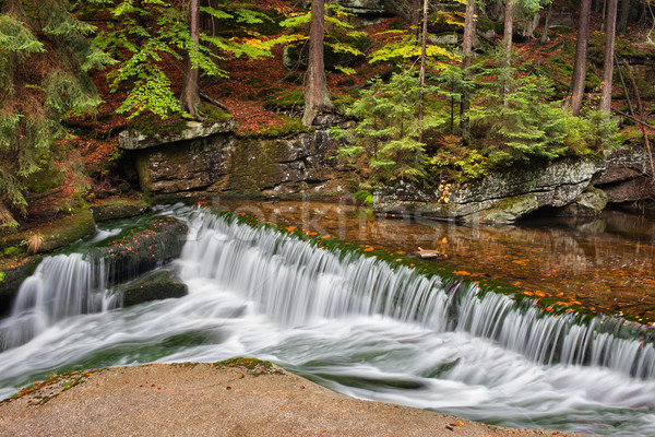 Wasser Kaskade Stream Herbst Wald Park Stock foto © rognar
